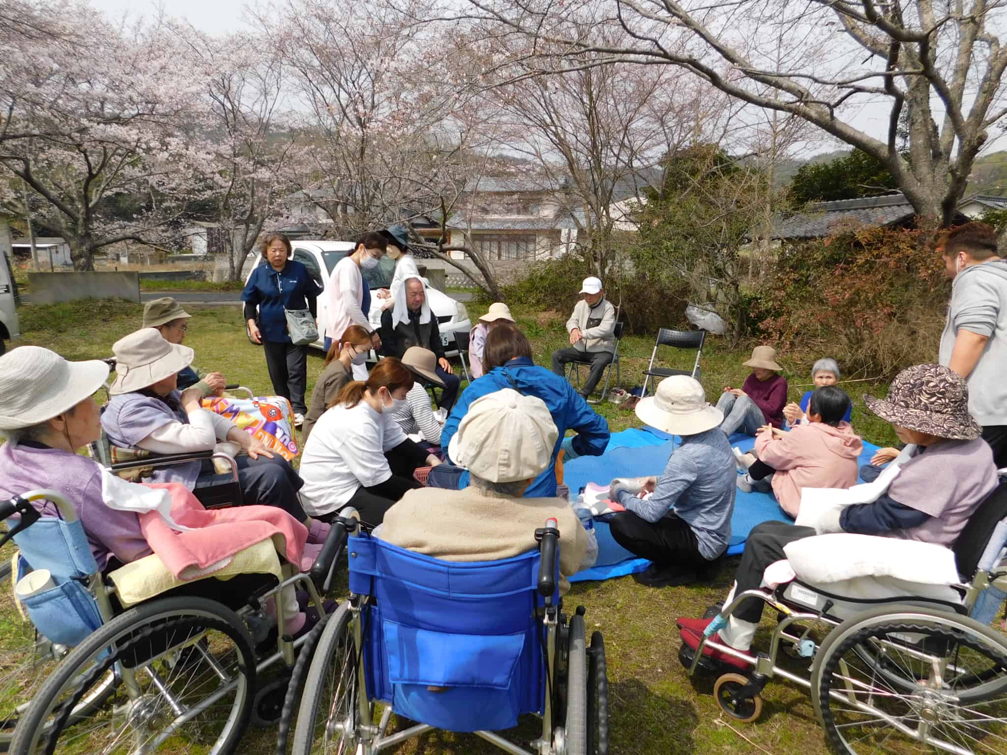 毎年恒例!全員でお花見！！の画像